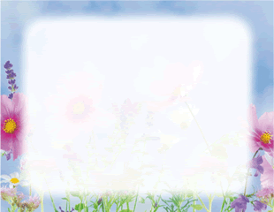 Blue Sky and Pretty Flowers Border