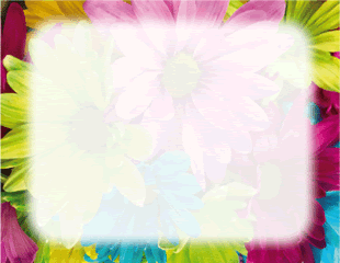 Colorful Daisies Border