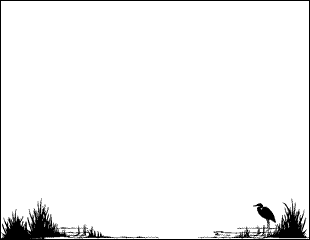 Edge of Water Landscape Border