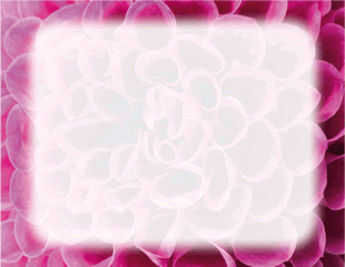 Flower with Pink Petals Border