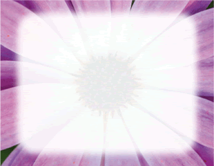 Flower with Purple Petals Border