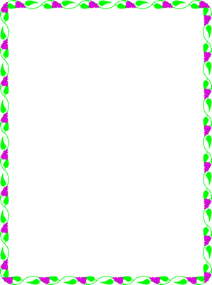 Grape Vines Border