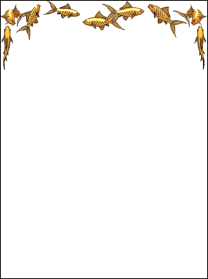 Goldfish Border