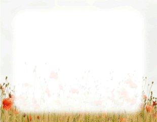 Spring Flowers Border