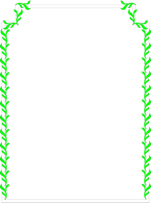 Vines Border
