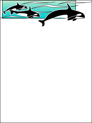 Whales Border