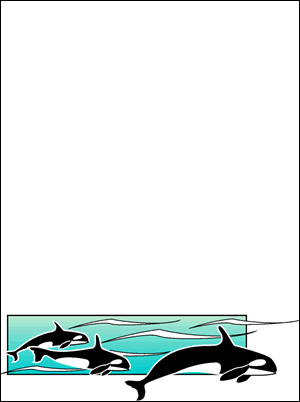 Whales Border